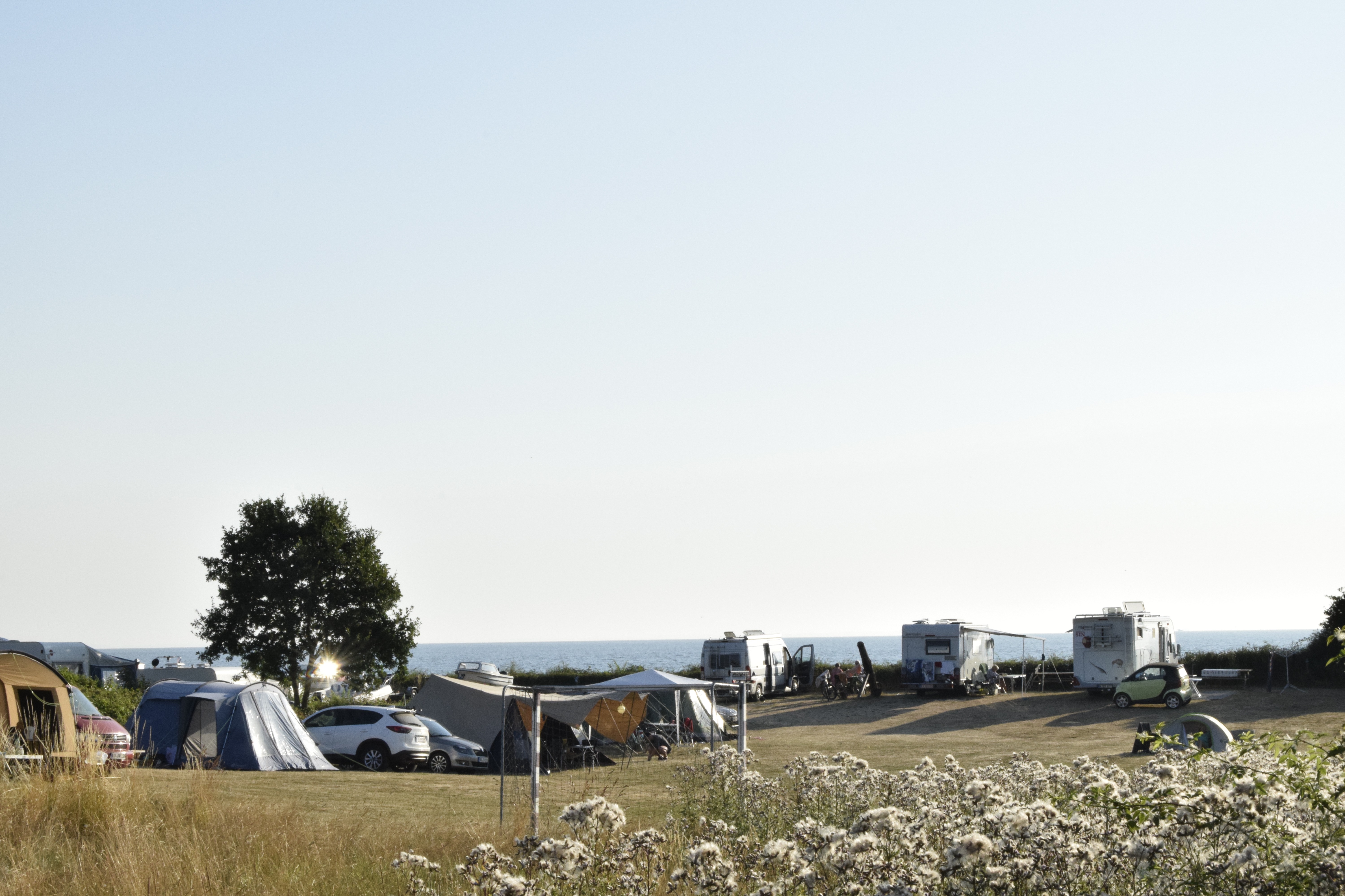 Camp Hverringe | PiNCAMP by ADAC