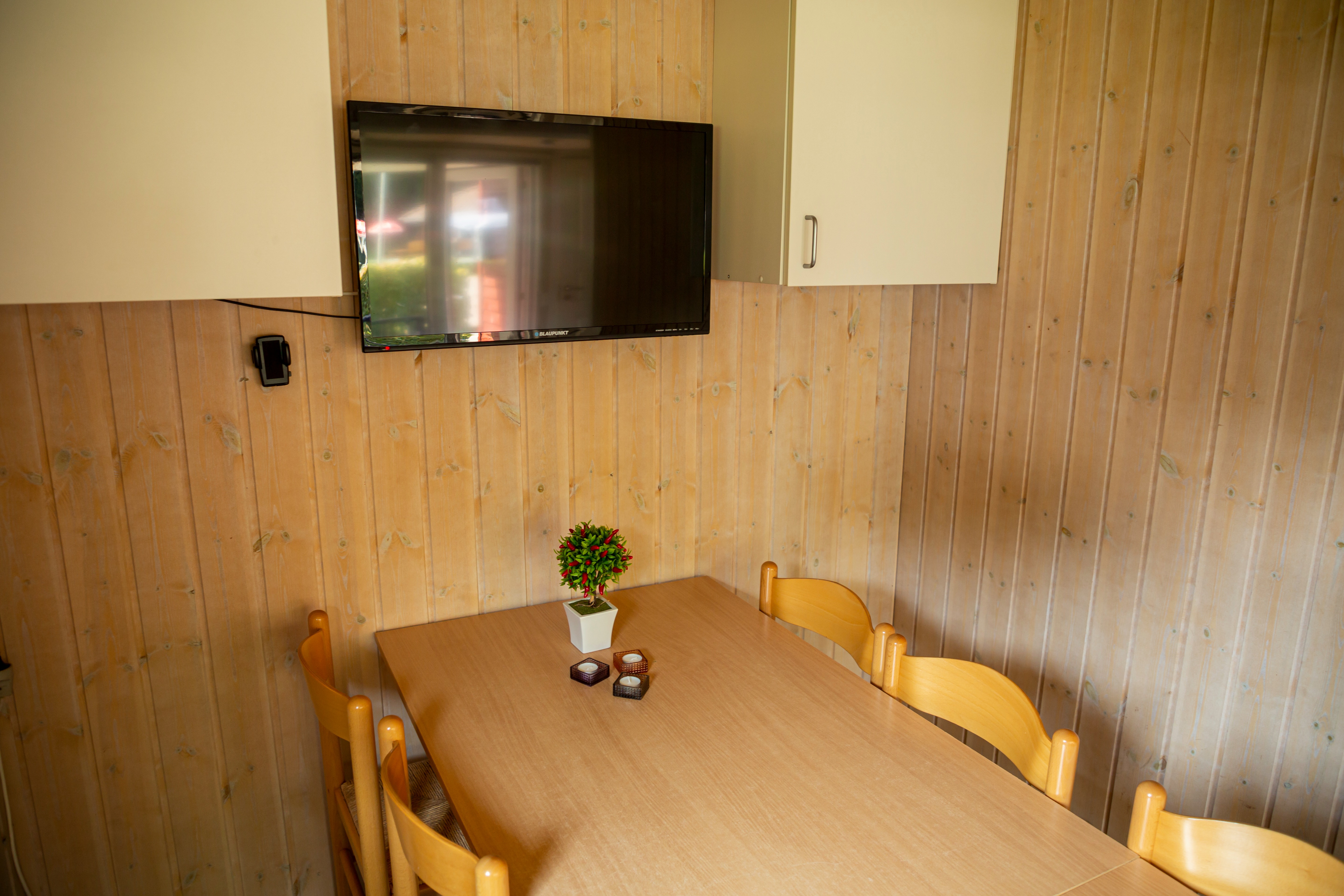 DCU-Camping Odense photo 4